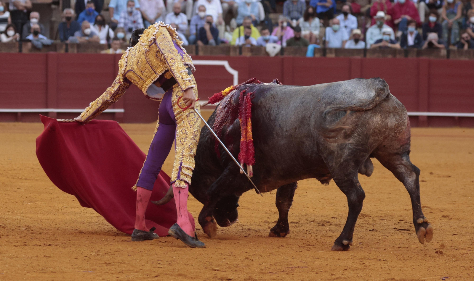 Las imágenes de la quinta corrida de San Miguel