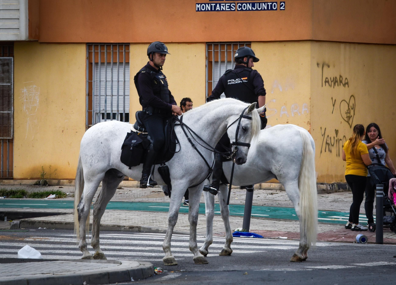 Macrorredada de la Policía Nacional en las Tres Mil Viviendas tras los tiroteos con armas de guerra