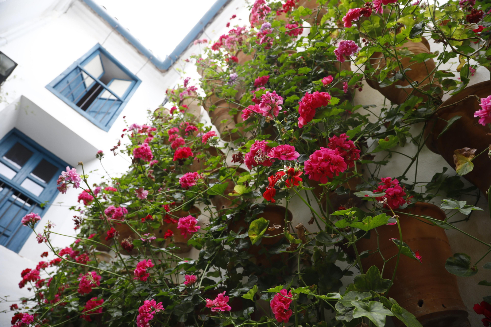 La jornada de puertas abiertas en el Palacio de Viana de Cordoba, en imágenes