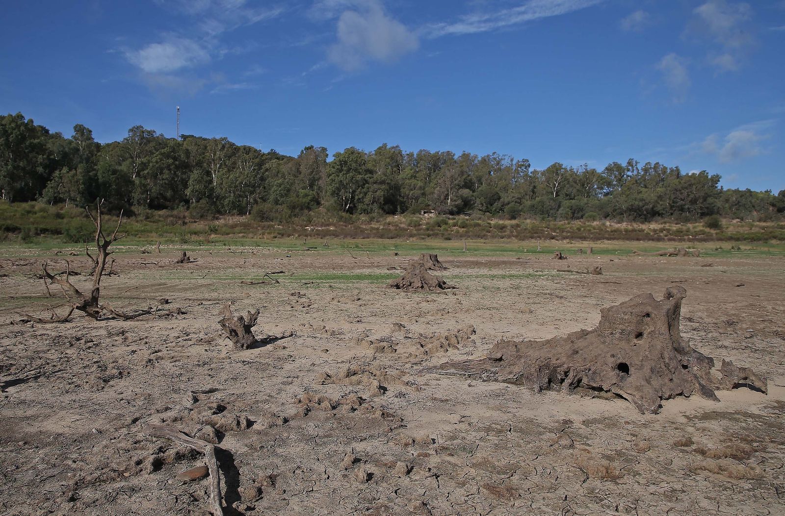 Imágenes del pantano de Charco Redondo en Los Barrios