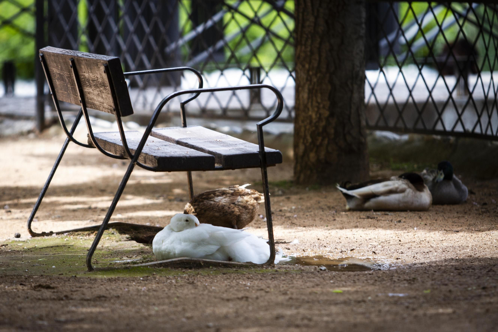 Los parques de Granada, vacíos en pleno estado de alarma