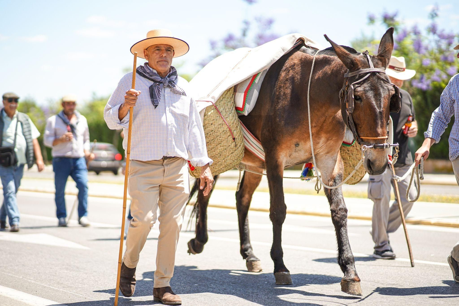 Las imágenes de la salida de la Hermandad del Rocío del Cerro