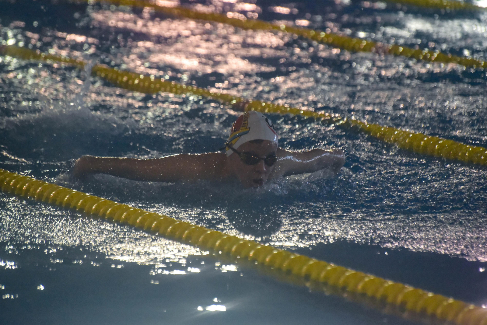Las fotos del IV Trofeo de natacion Campo de Gibraltar en Los Barrios