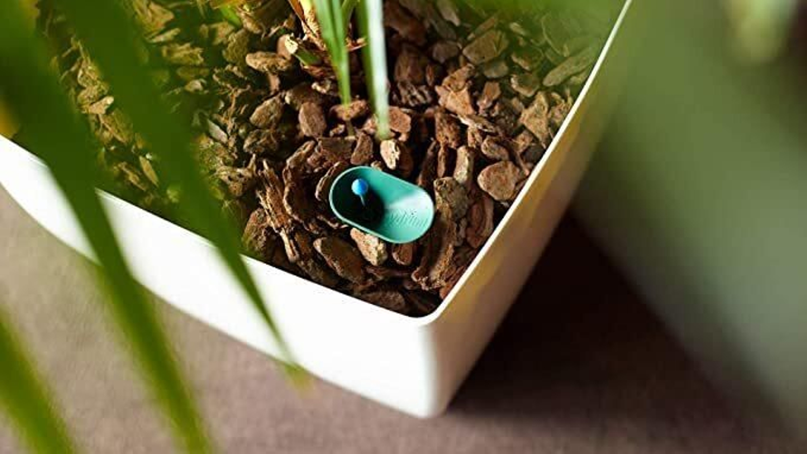 713iNknHuFL._AC_SX679_