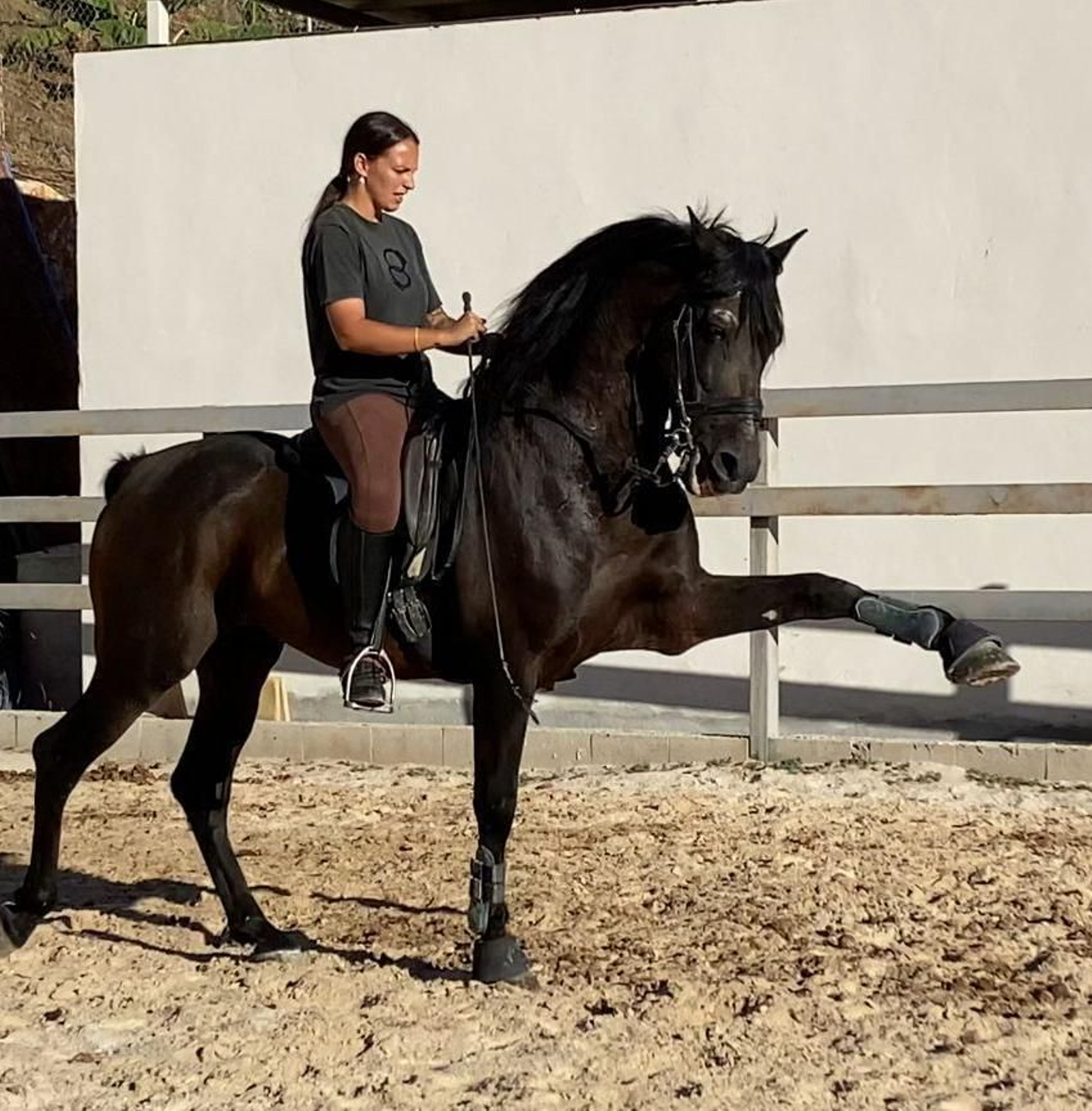 María Gálvez en el adiestramiento de un caballo