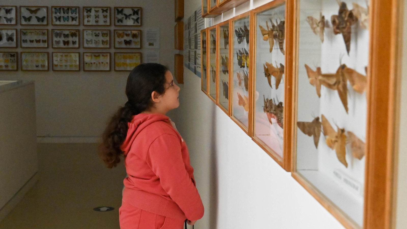 Las fotos de la colección etimologica de Pepe Torres en el Museo Cruz Herrera