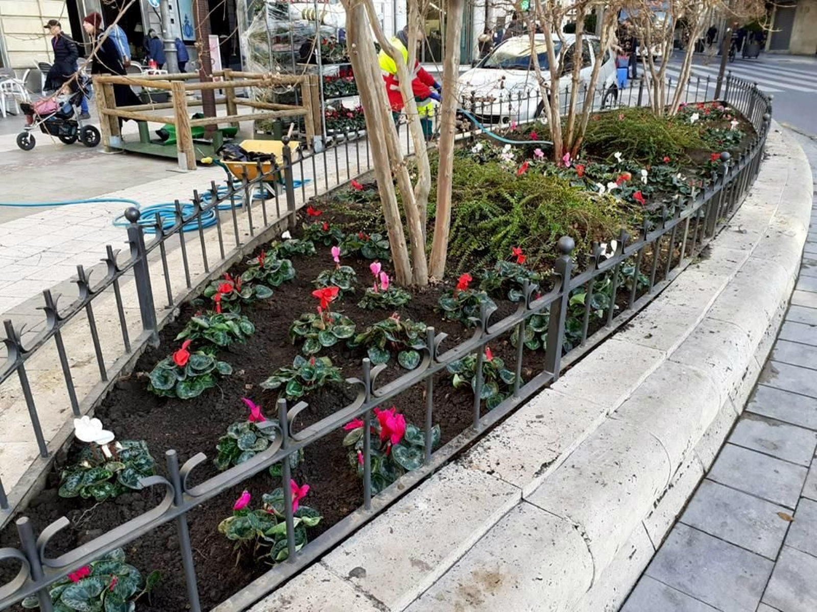 Una de las jardineras de Granada en la que se han repuesto las flores.