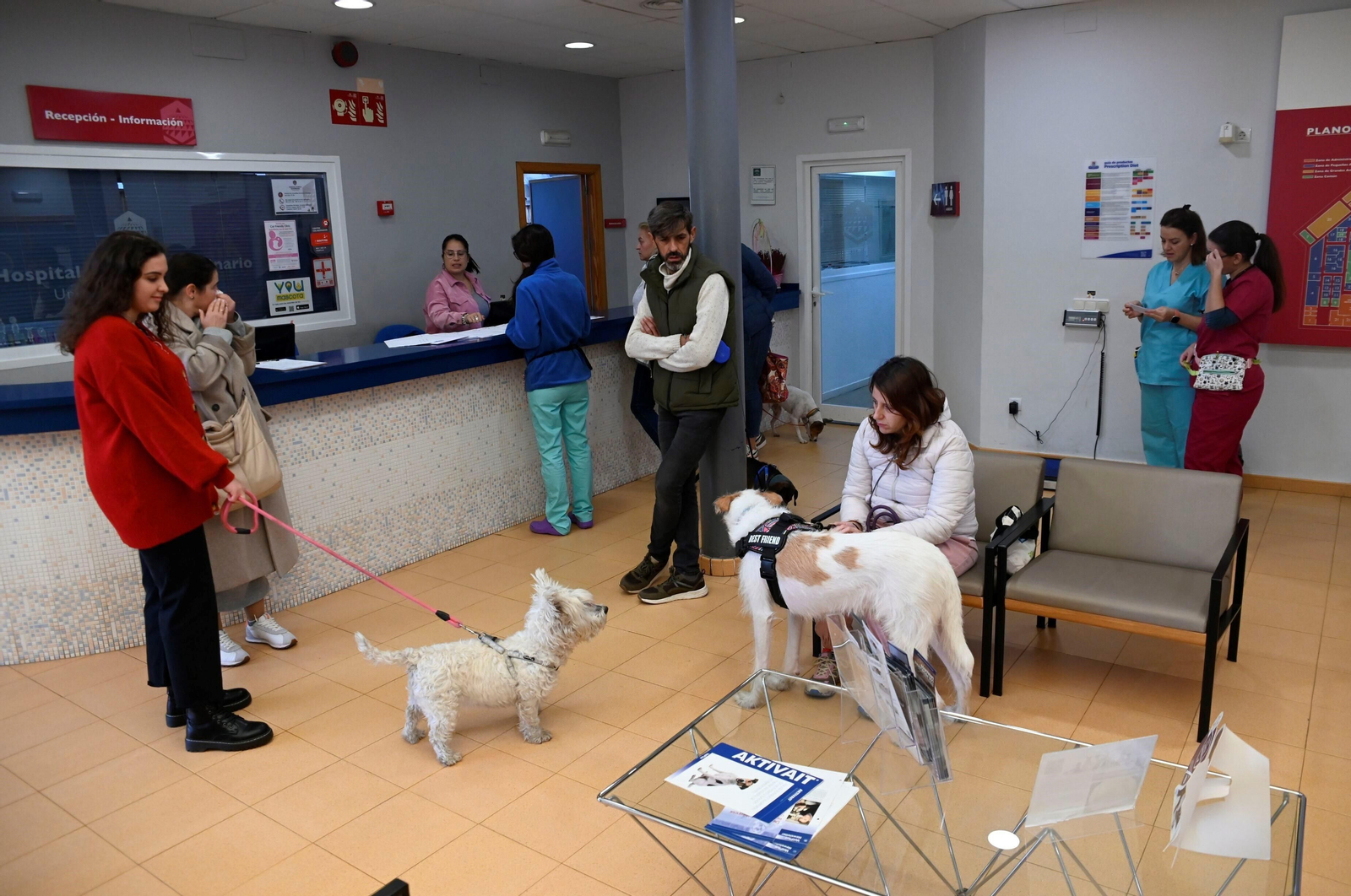 El Hospital Veterinario de la Universidad de Córdoba, en imágenes