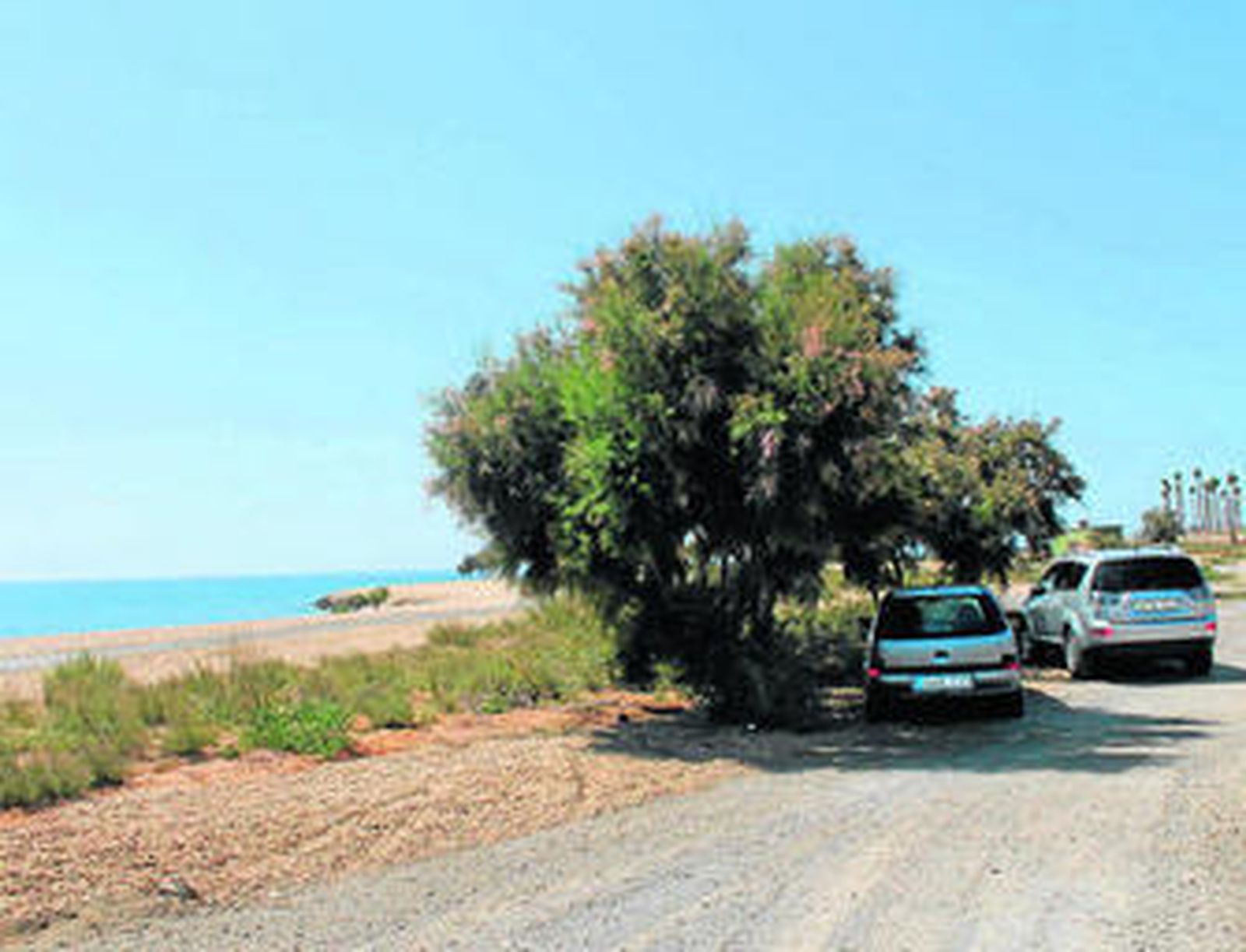 Vehículos aparcados en una zona en la que no está permitido.