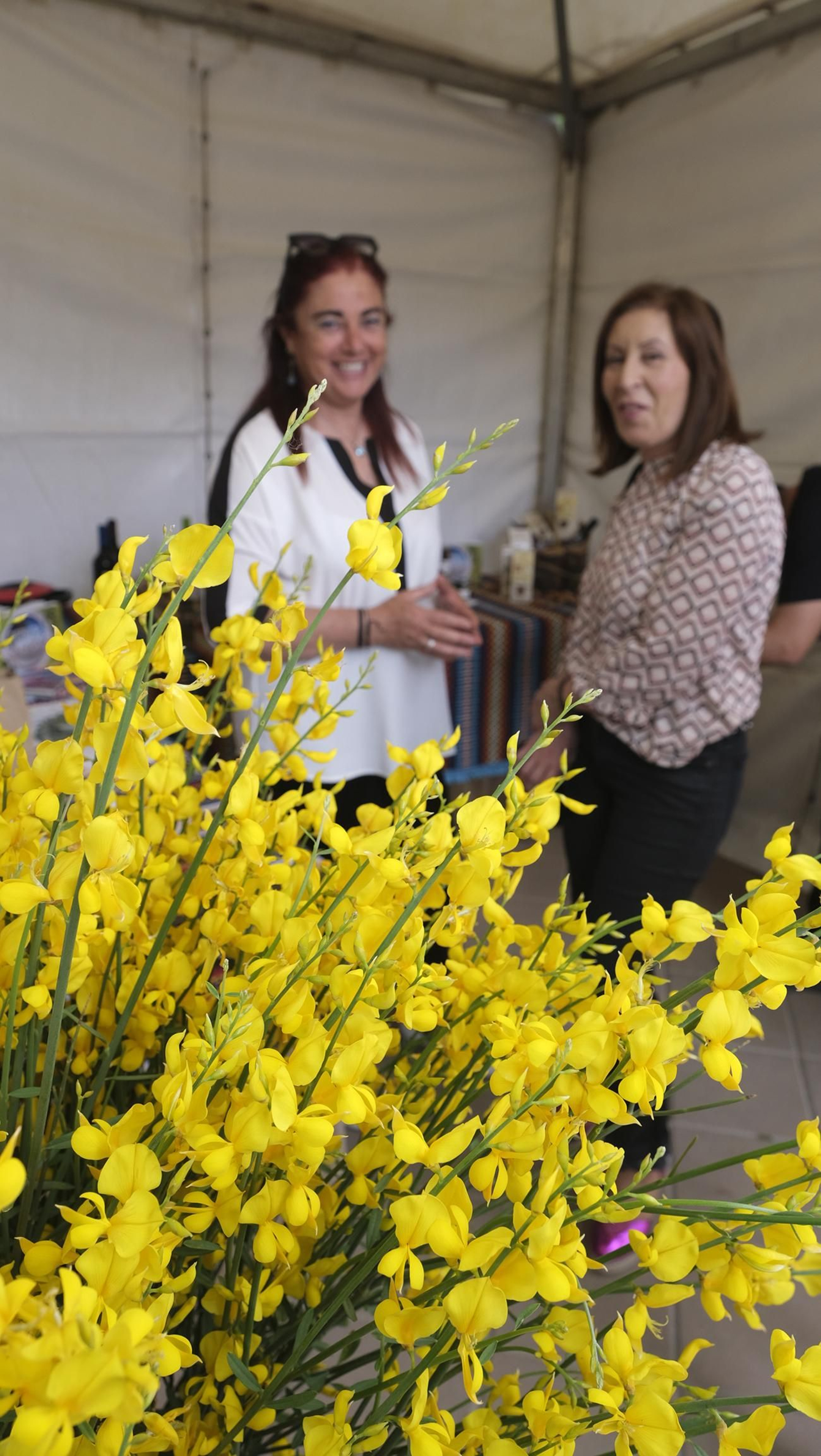 Imágenes de la Terracultura Chirivel 2023, feria de agricultura y maquinaria