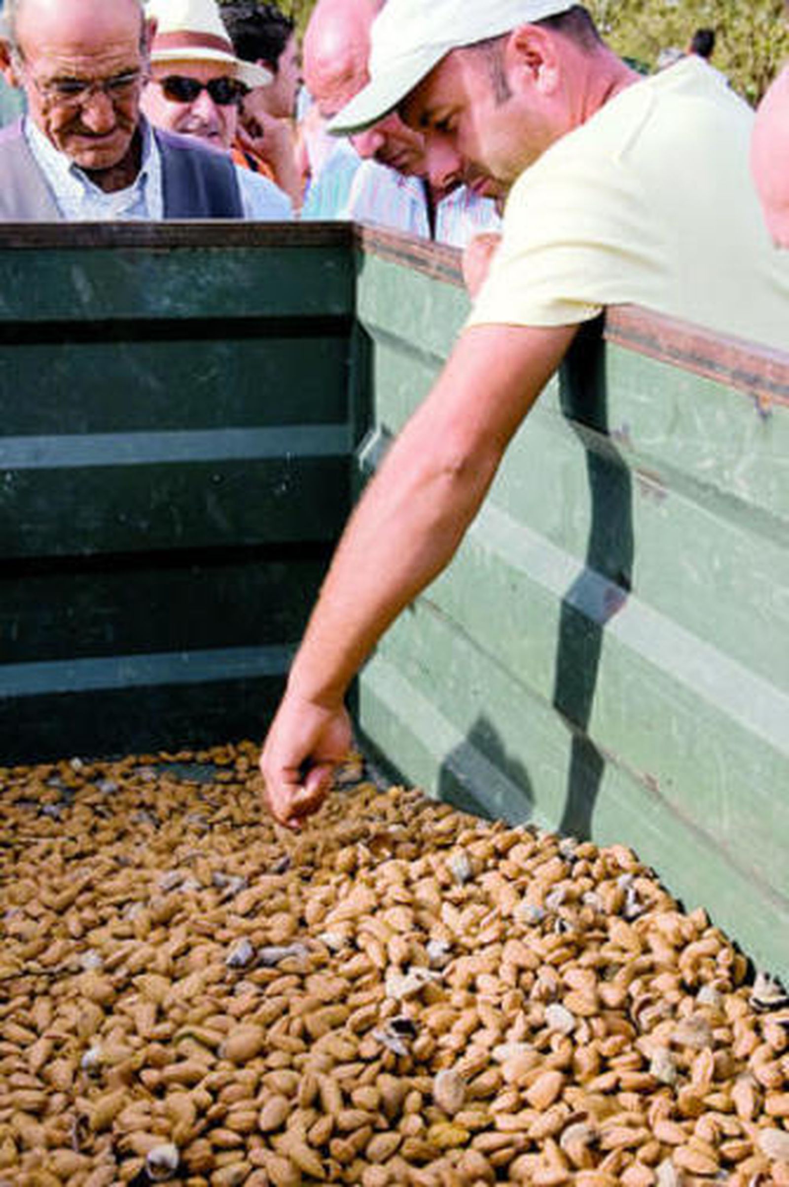 La almendra se paga según su peso en grano.