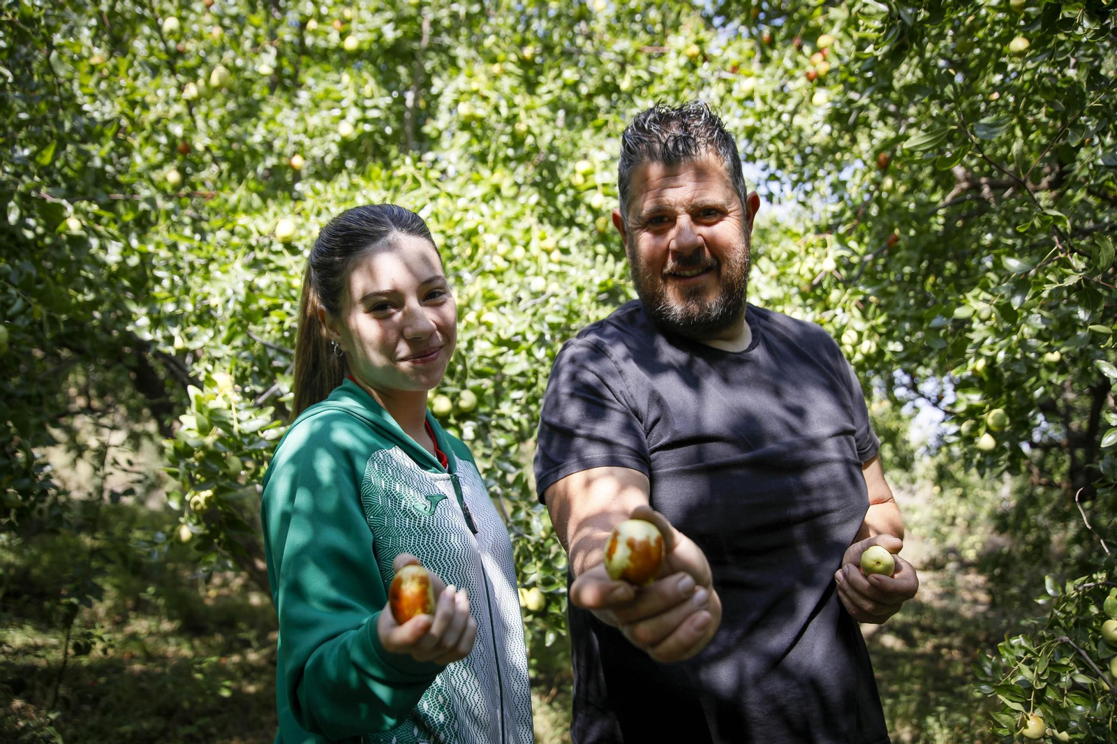 Imágenes del cultivo de azufaifas en Abrucena