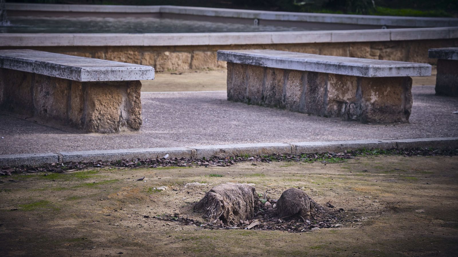 Parque Arqueológico Kotinoussa.