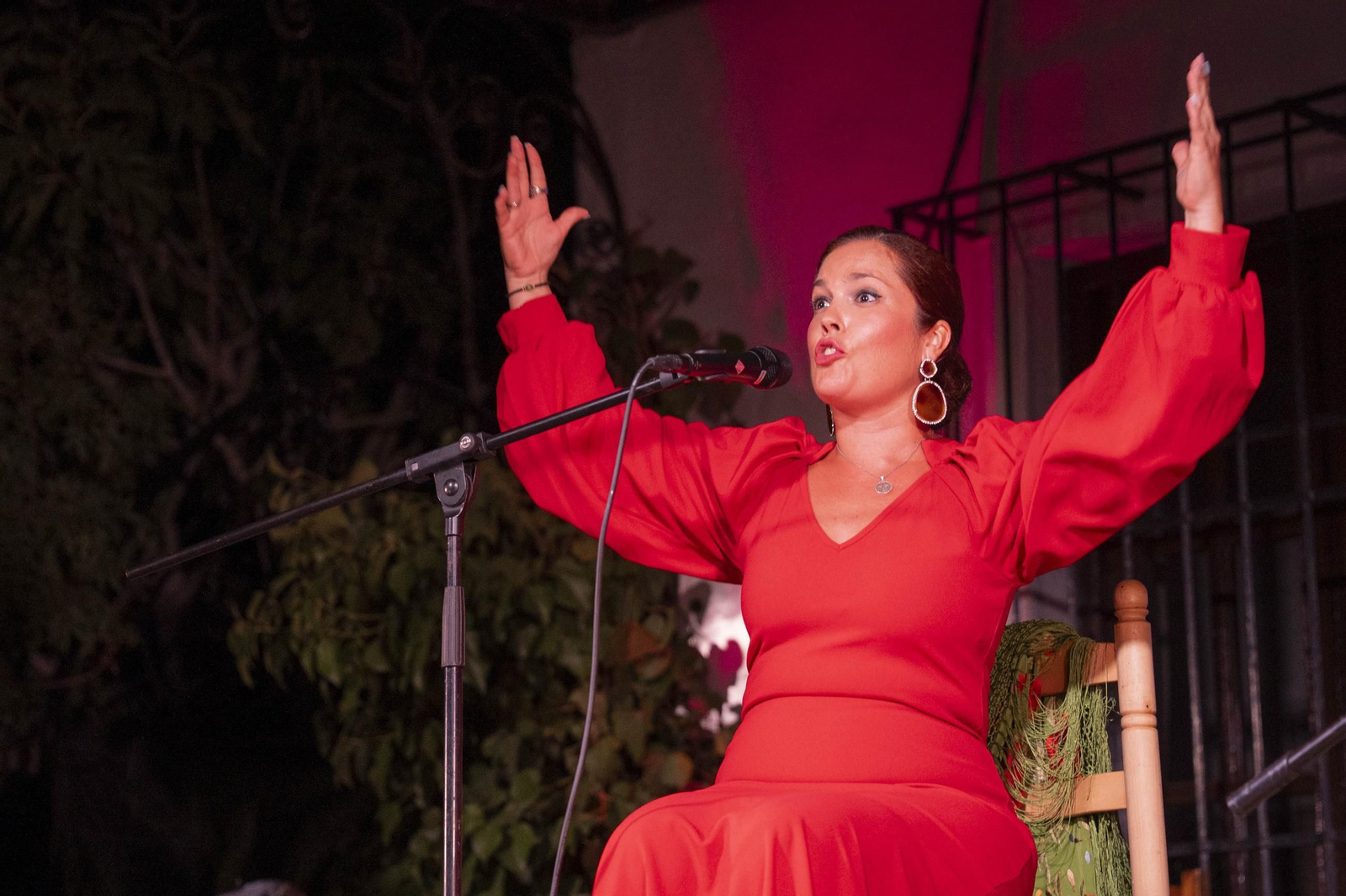 Las mejores imágenes del Festival de Flamenco en Fondón