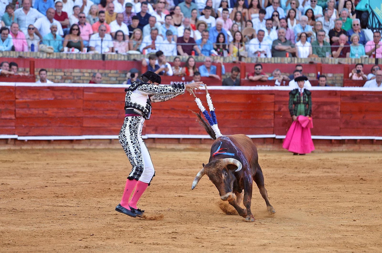 Toros La Merced 2025: Imágenes de la Novillada de Javier Zulueta, Cristian González y Carlos Tirado