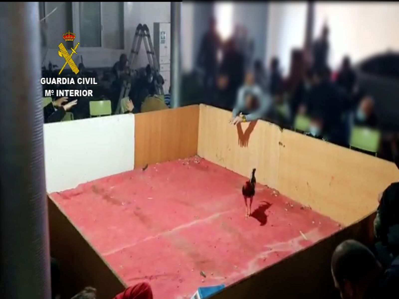 Imagen de archivo de otra operación de la Guardia Civil conta el maltrato animal.