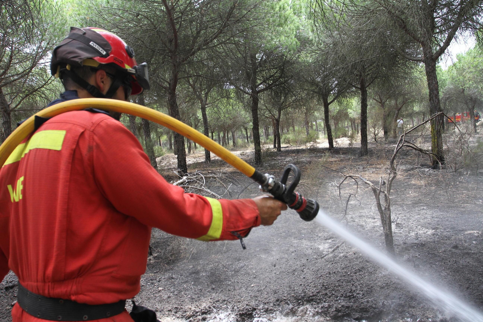 Las imágenes del incendio en Moguer y Mazagón