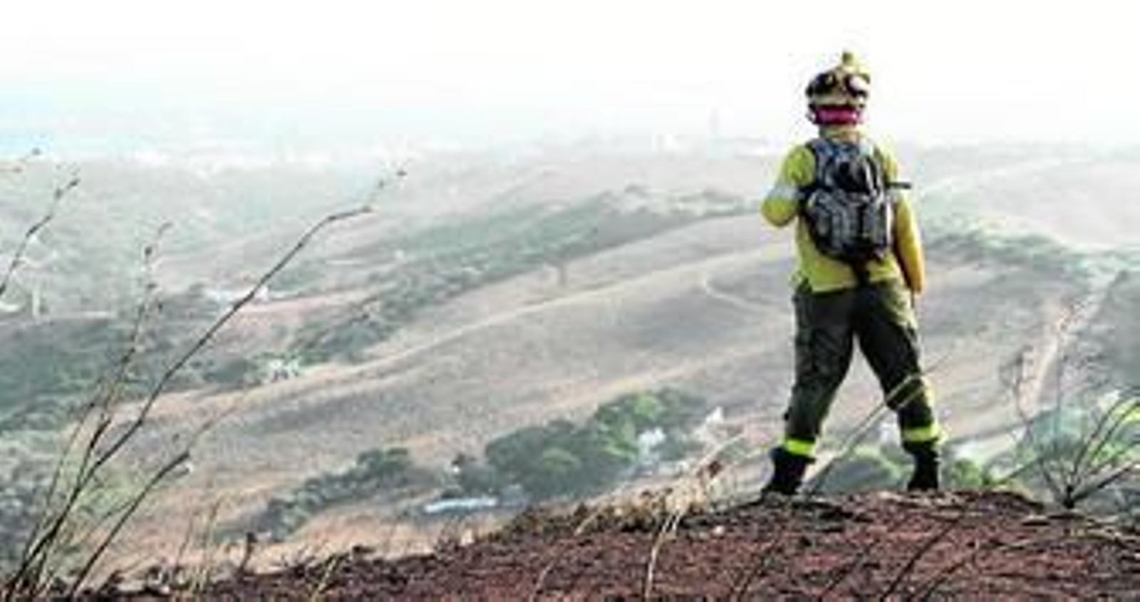 Un bombero forestal observa la zona afectada.