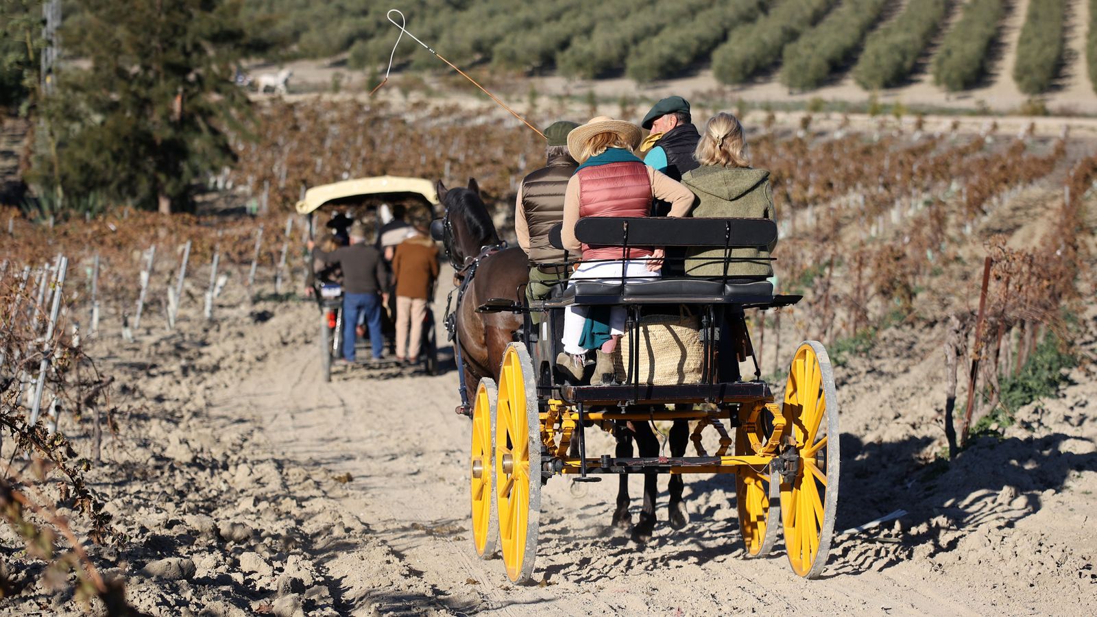 II Ruta Viñas de Jerez