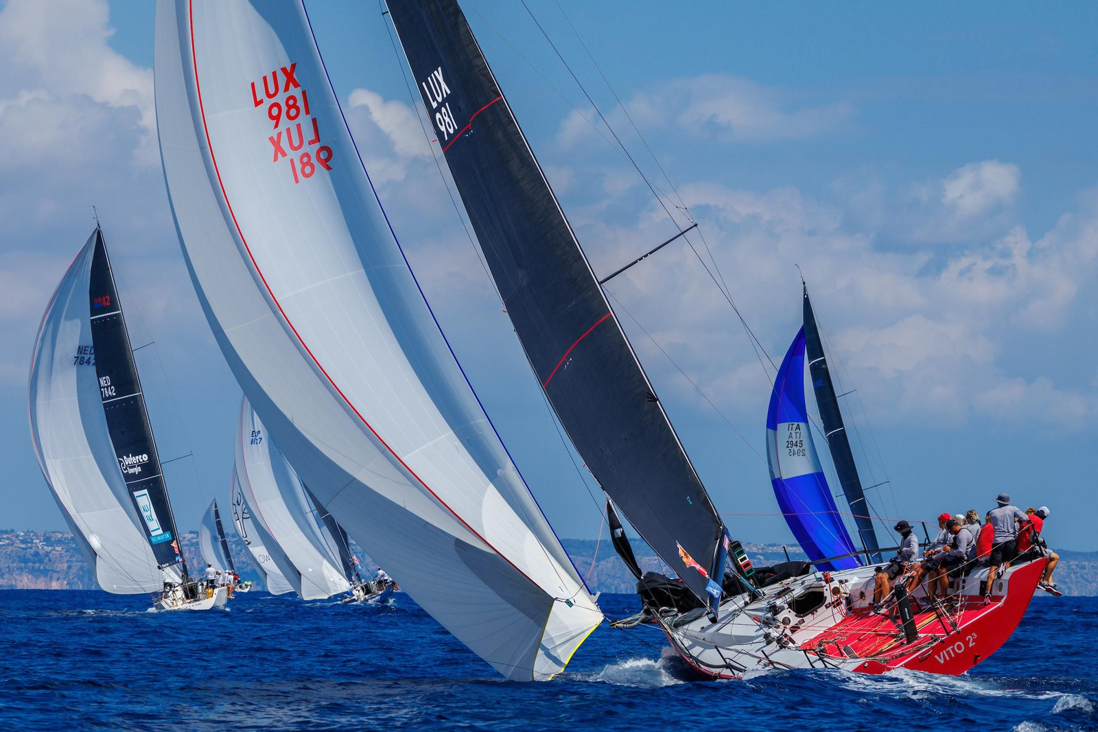 ORCA A Vela Regata (11).jpg