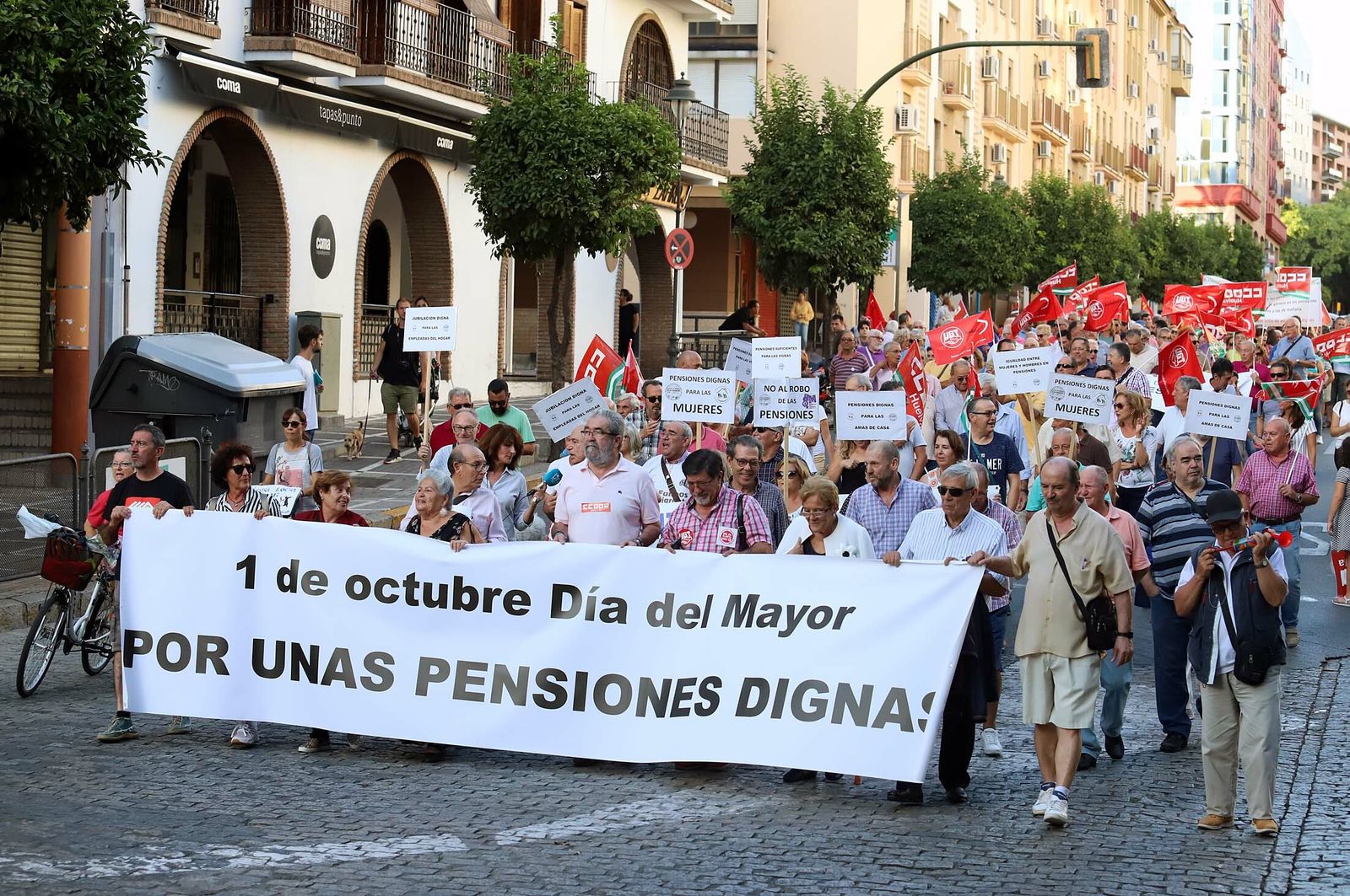 Imágenes de la manifestación "Por unas pensiones dignas"