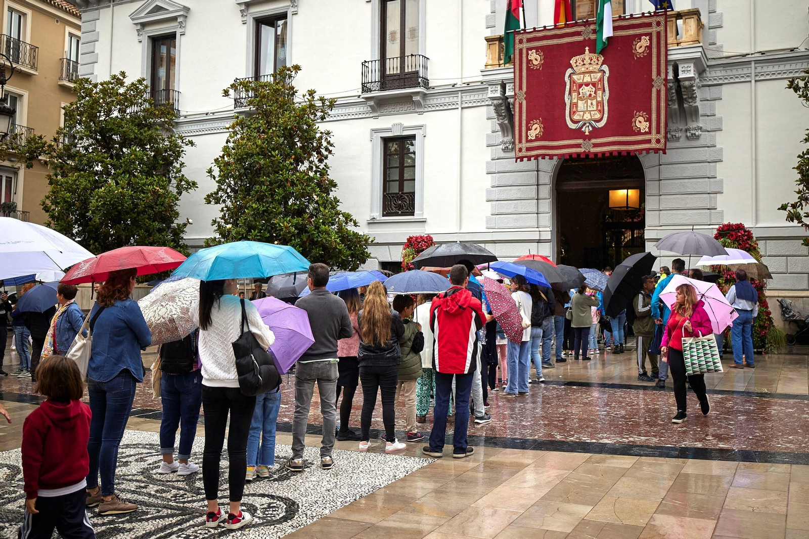Todas las imágenes de la Tarasca, que no ha podido salir por la lluvia, y el modelo diseñado por María Francés