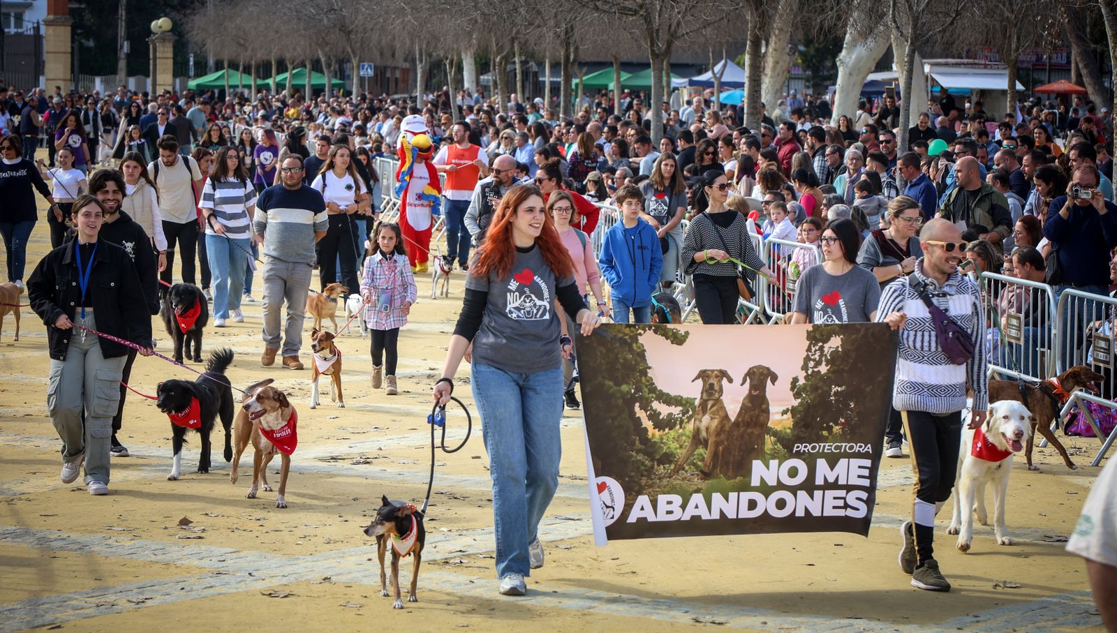 Fiesta de san Antón 2024 en Jerez