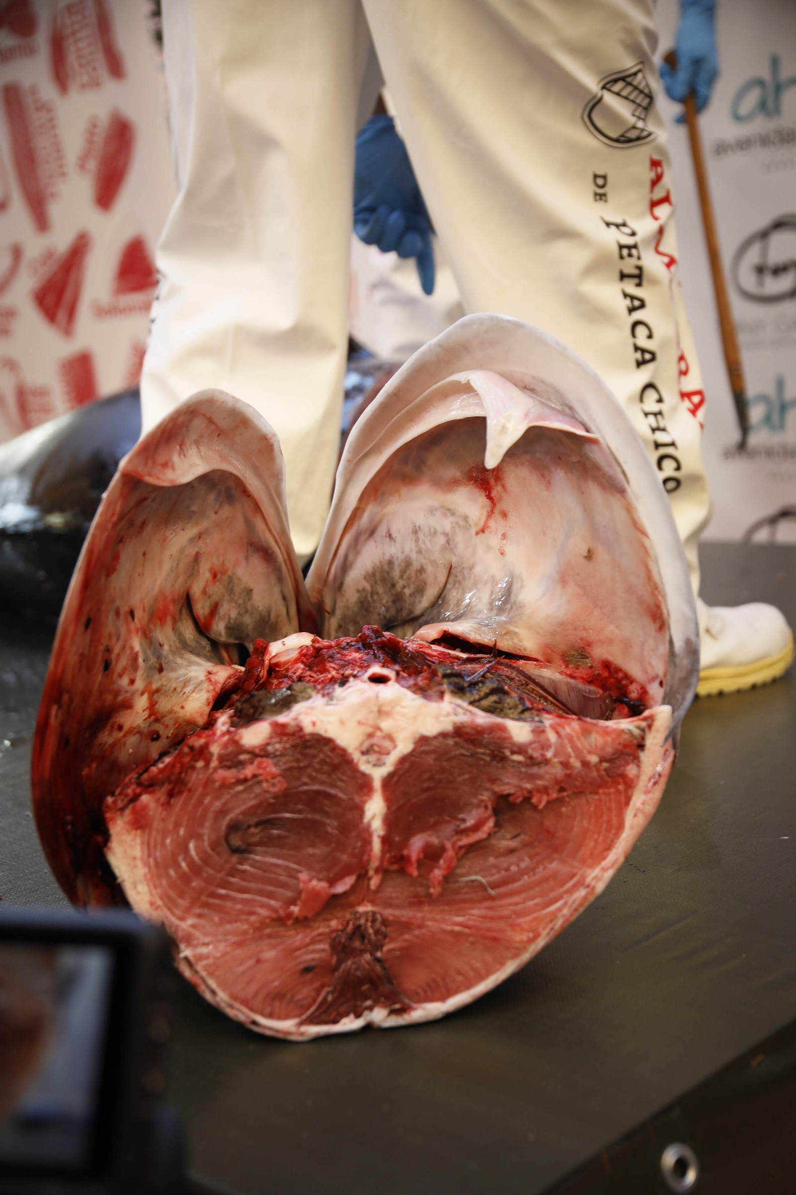 El ronqueo del atún en el Espacio Gatronómico Tony García, en imágenes