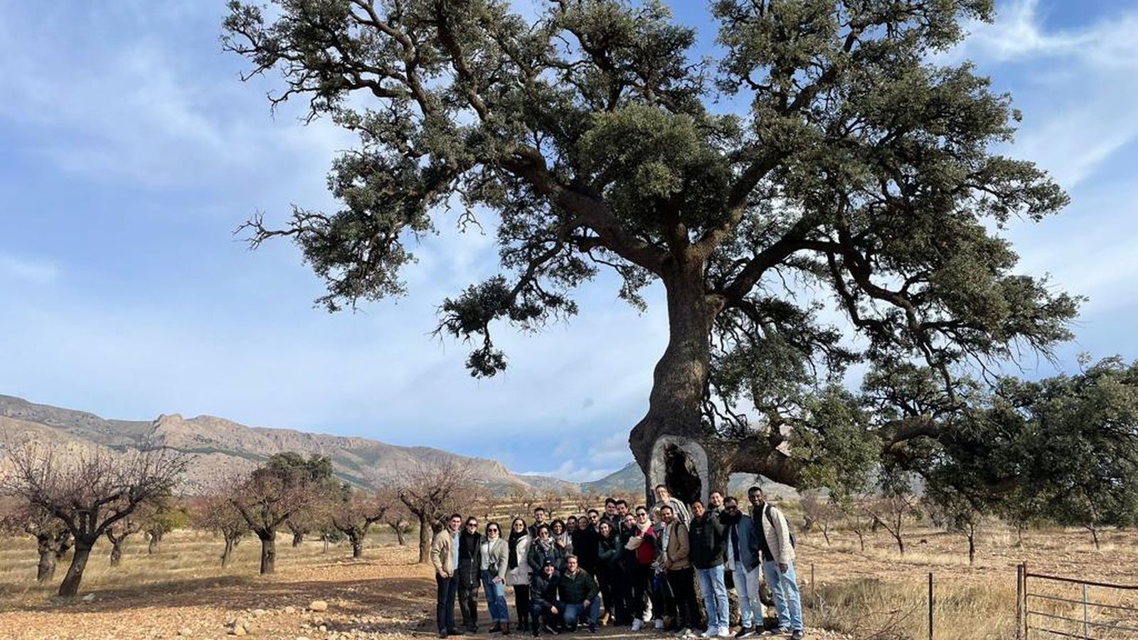 Alumnos de ISAM junto a una encina centenaria.