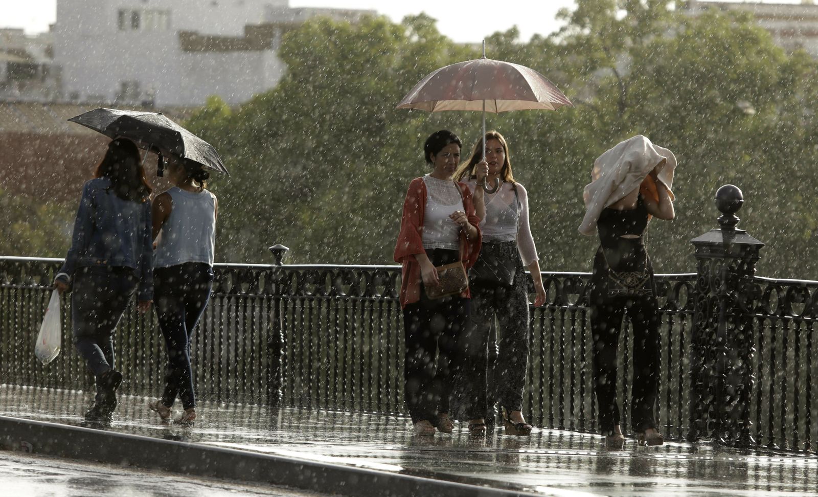 Varias personas se protegen de la lluvia, este sábado en Sevilla