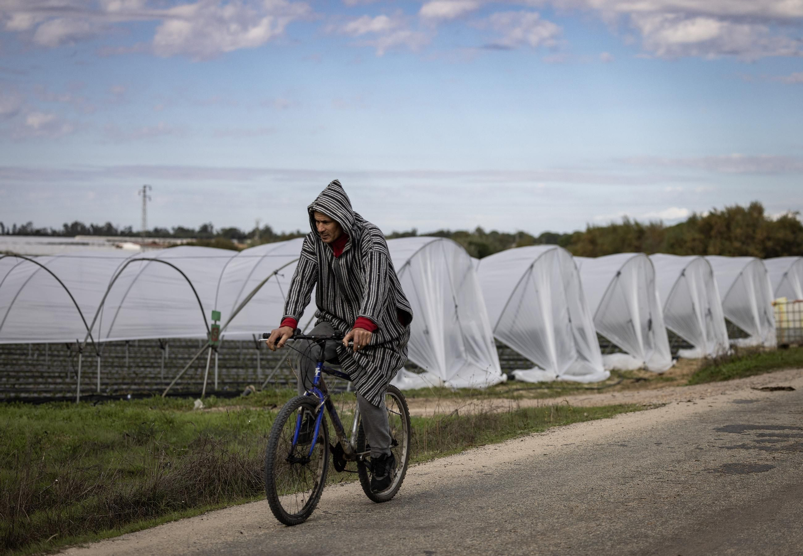 Las fotos de los cultivos en Doñana después del acuerdo sobre la regulación de regadios