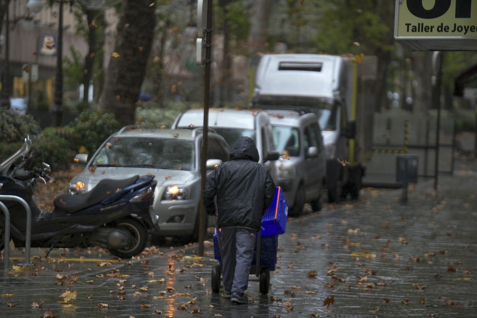 Fotos: día de lluvia en Granada