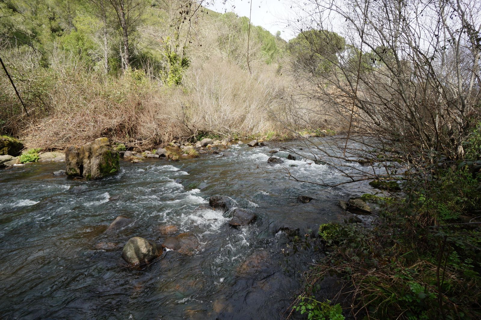 Una ruta por los Baños de Popea en Córdoba, en fotografías