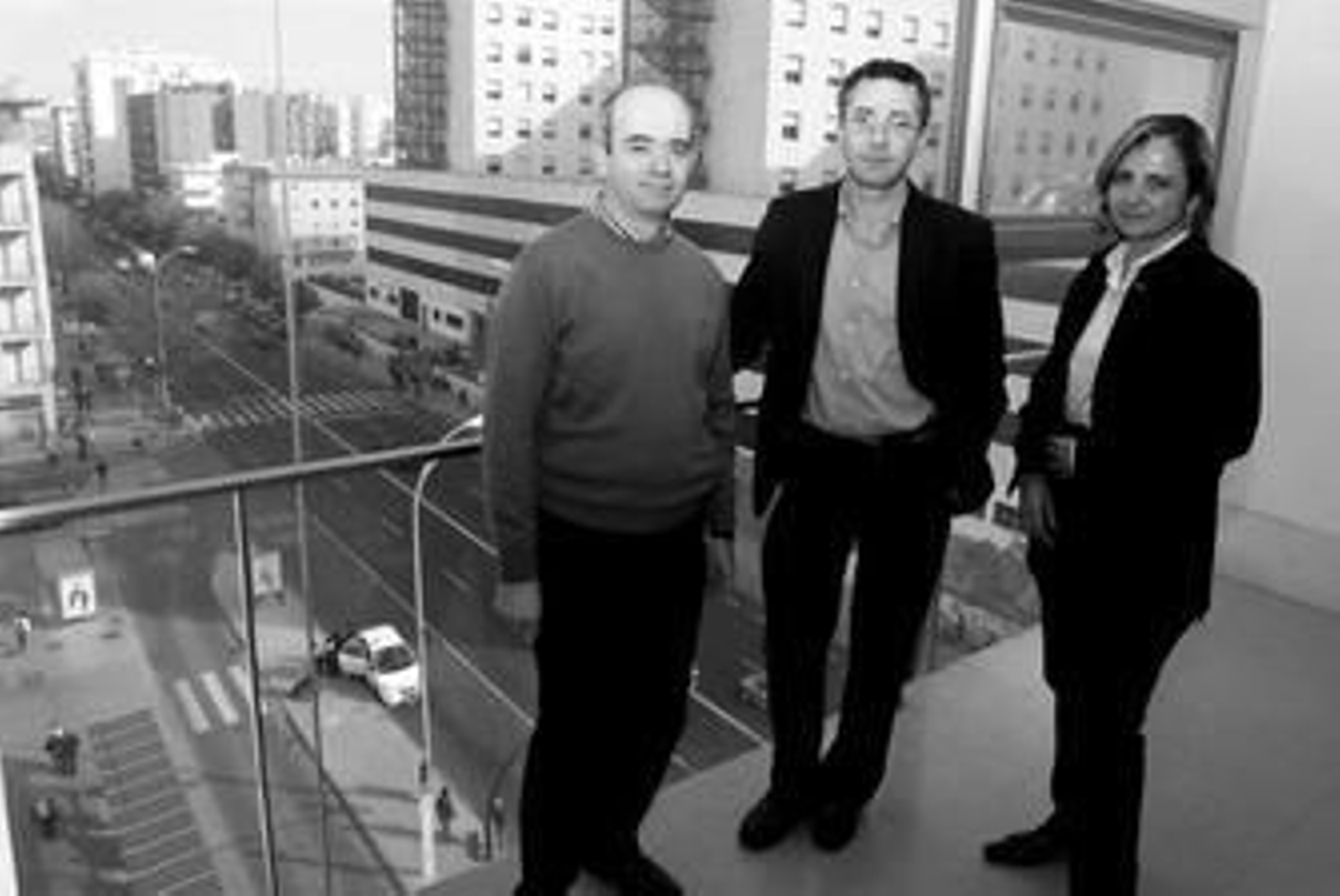 La coordinadora del grupo de Epidemiología de la Alimentación, Amelia Rodríguez, y los profesores José Pedro Novalbos y José Manuel Martínez.