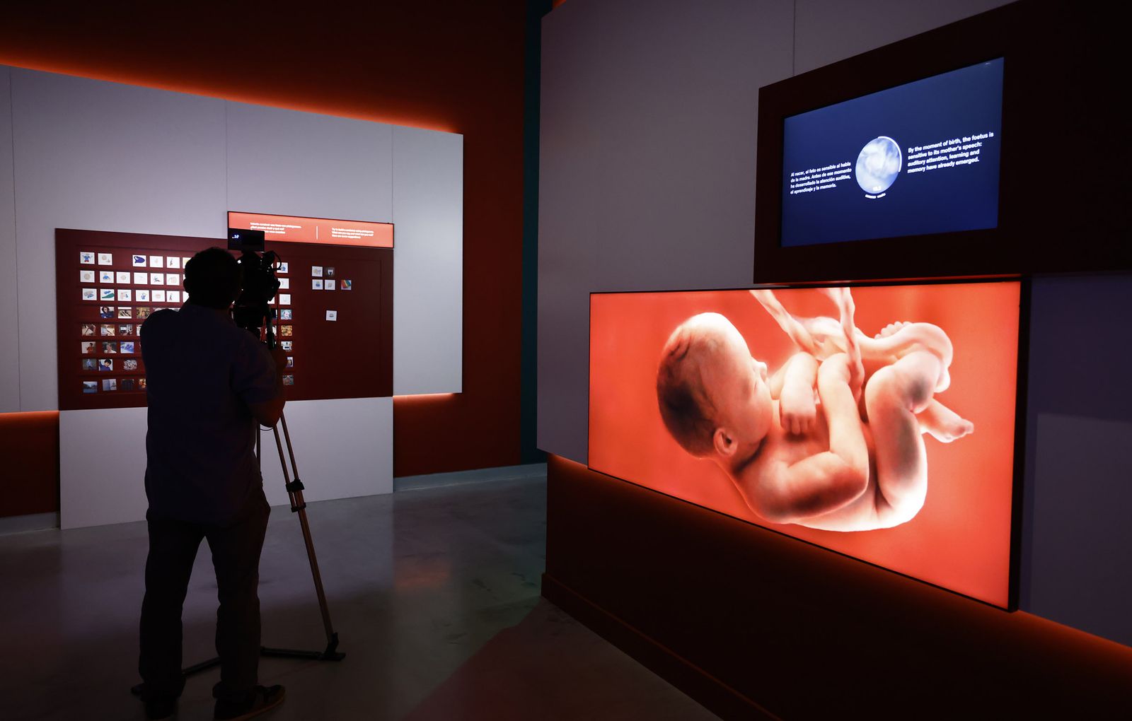 Las imágenes de la exposición interactiva “Talking Brains”