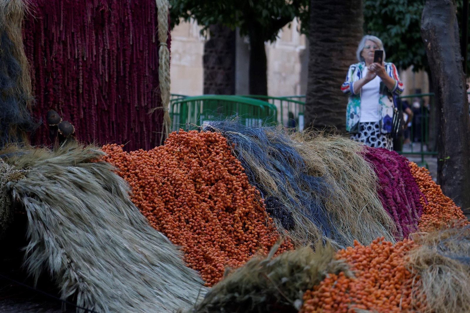 Las creaciones de los artistas de Flora, en imágenes
