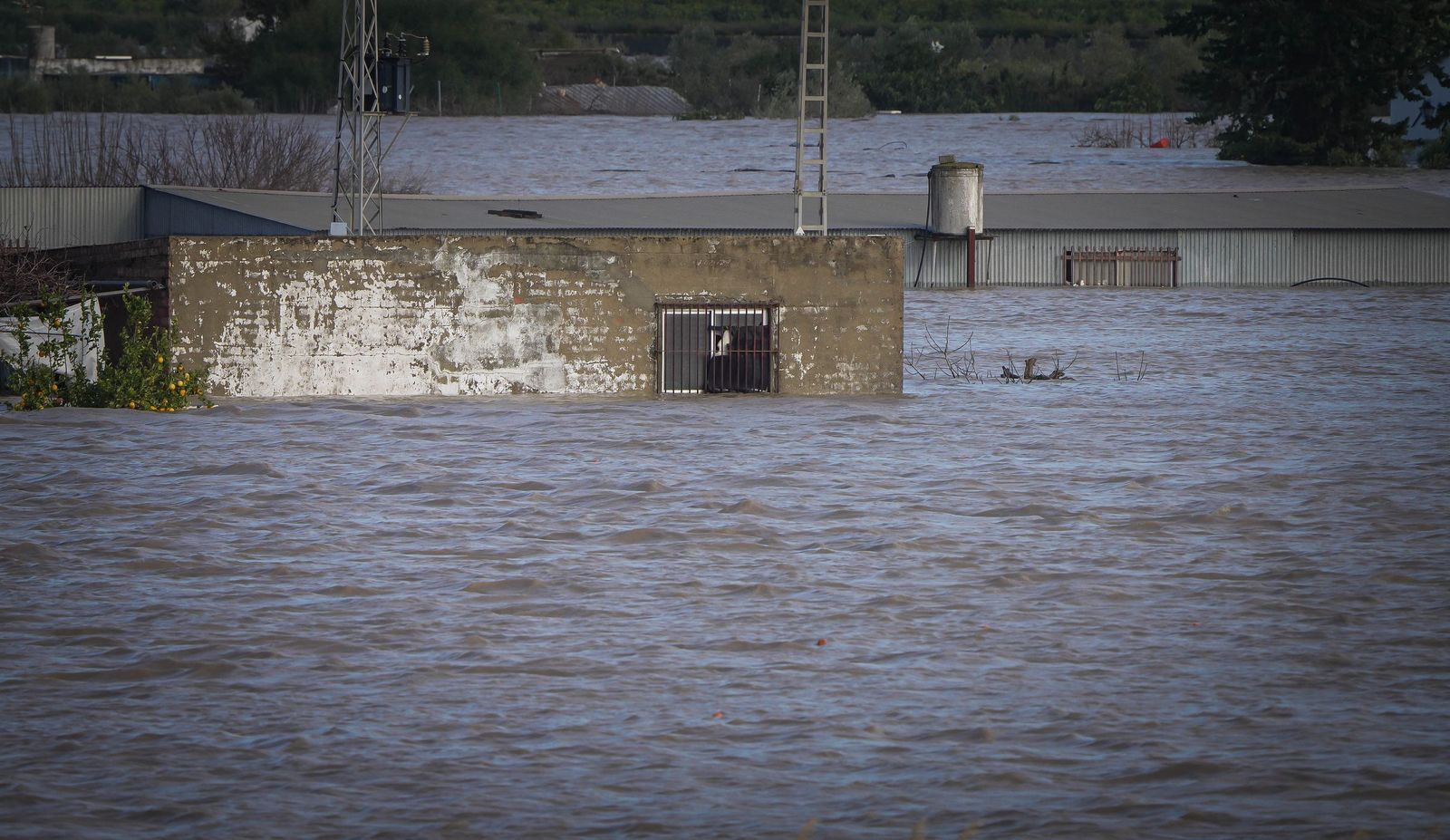 Intensa jornada en las zonas inundadas de Jerez, en imágenes