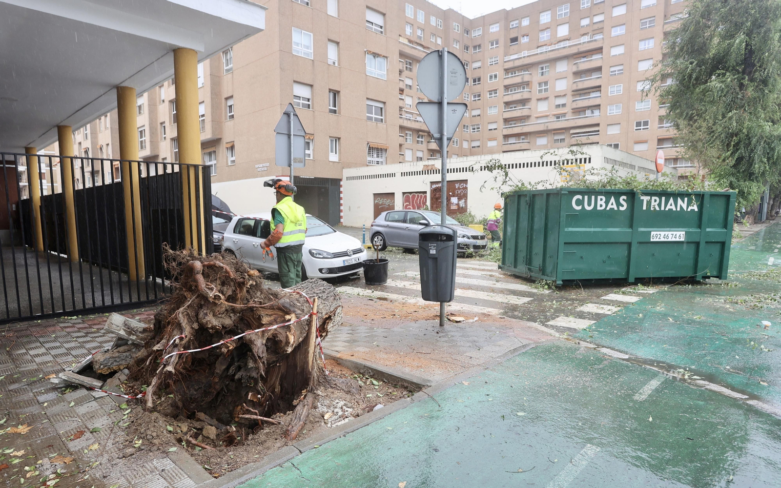 Temporal de lluvia y viento en Sevilla