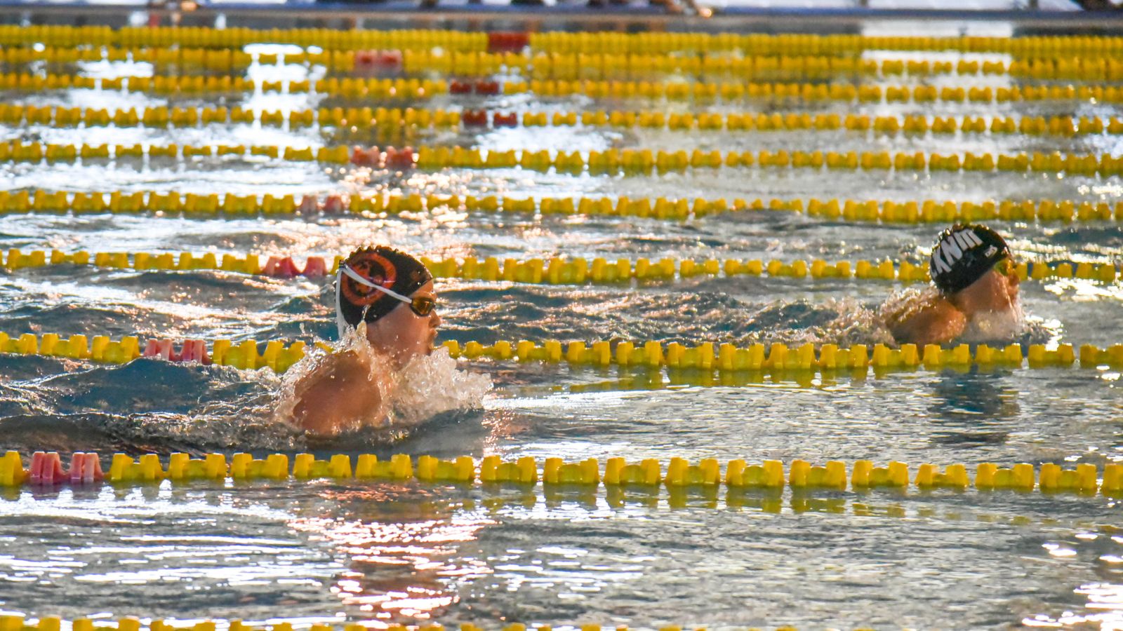 Las fotos de la primera jornada del IV Trofeo Natación ‘Villa de Los Barrios’