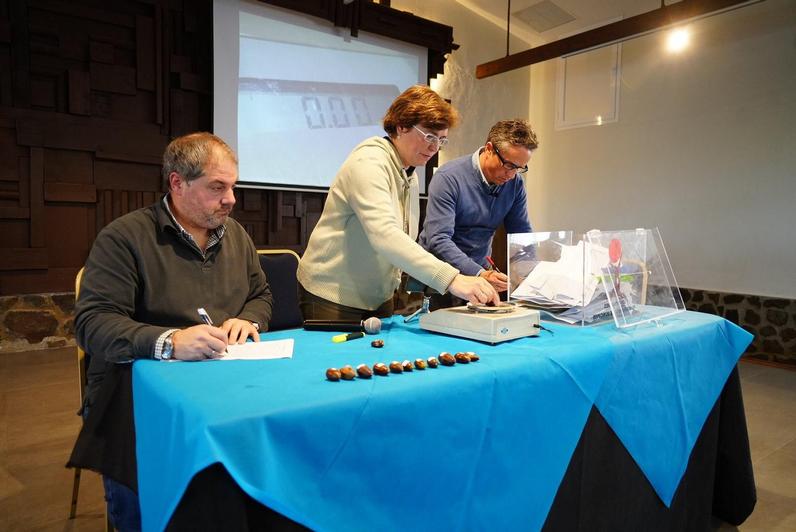 Una bellota de 38,63 gramos es la más grande de 2023 en Los Pedroches Una bellota de 38,63 gramos es la más grande de 2023 en Los Pedroches