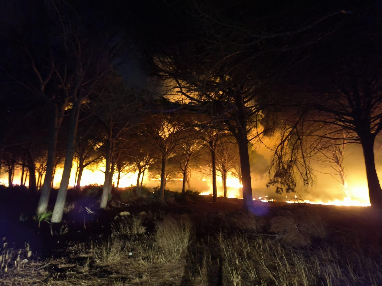 Imagen del incendio de Puerto Real.