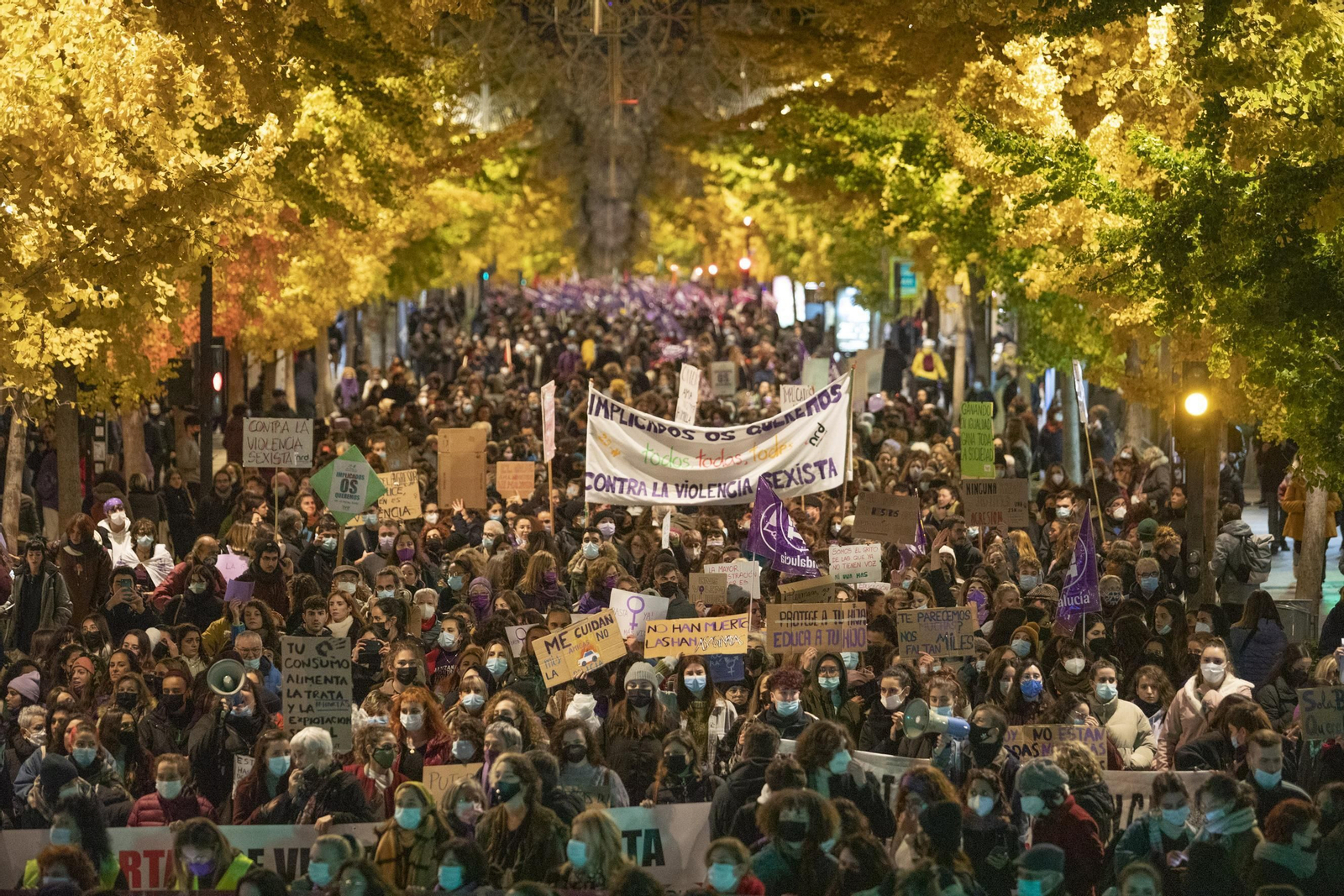 La manifestación del 25-N en Granada en imágenes