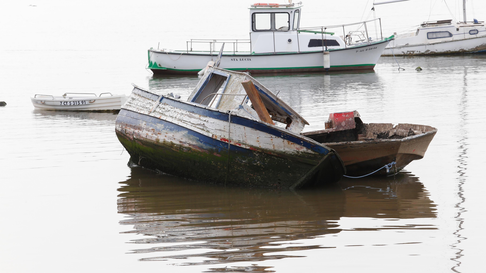 Un paseo por la ribera del Río Palmones, en imágenes
