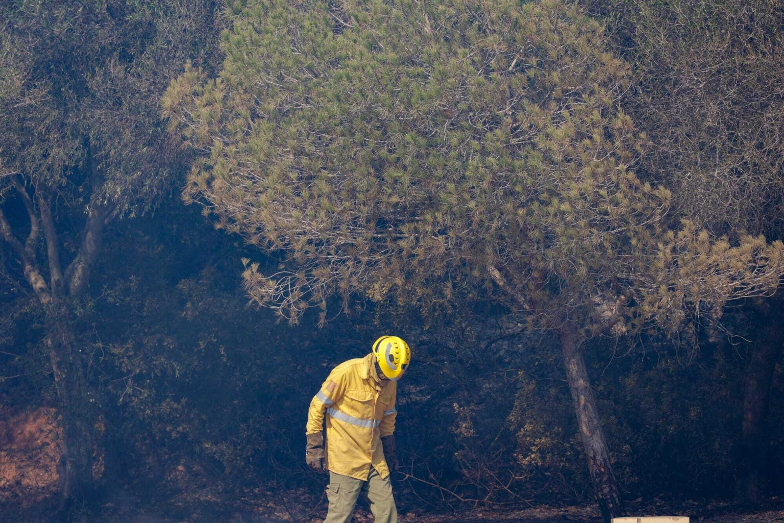 El fuego arrasa Las Canteras en Puerto Real