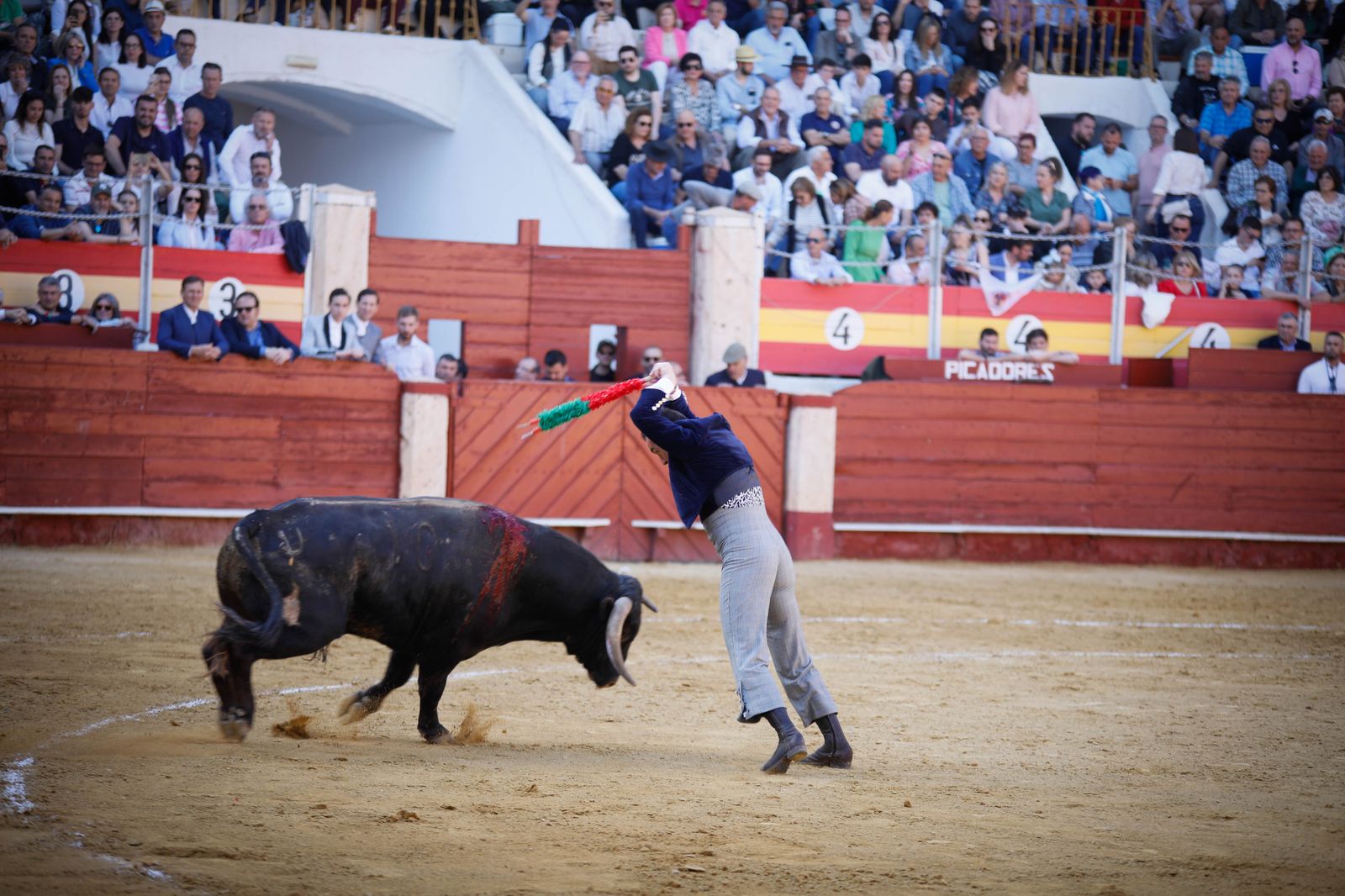 Imágenes del festival mixto lucha contra el cáncer