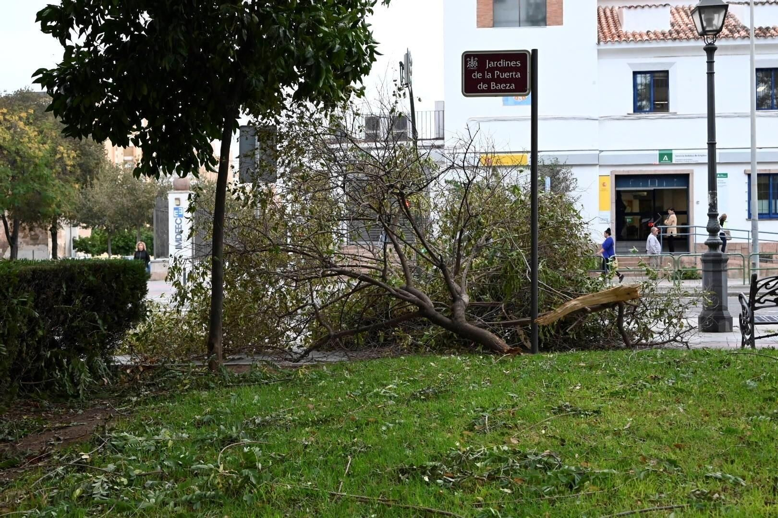 Los daños causados por la borrasca Bernard en Córdoba, en imágenes