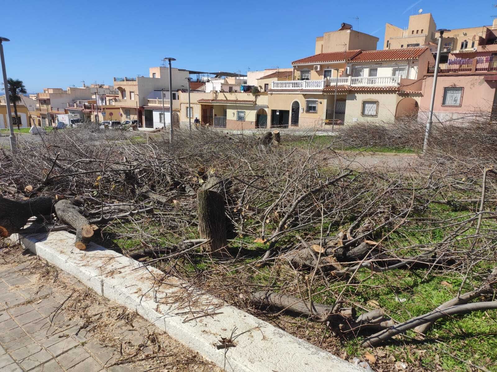 Denuncian la tala de más de una treintena de árboles en Motril en sólo dos días