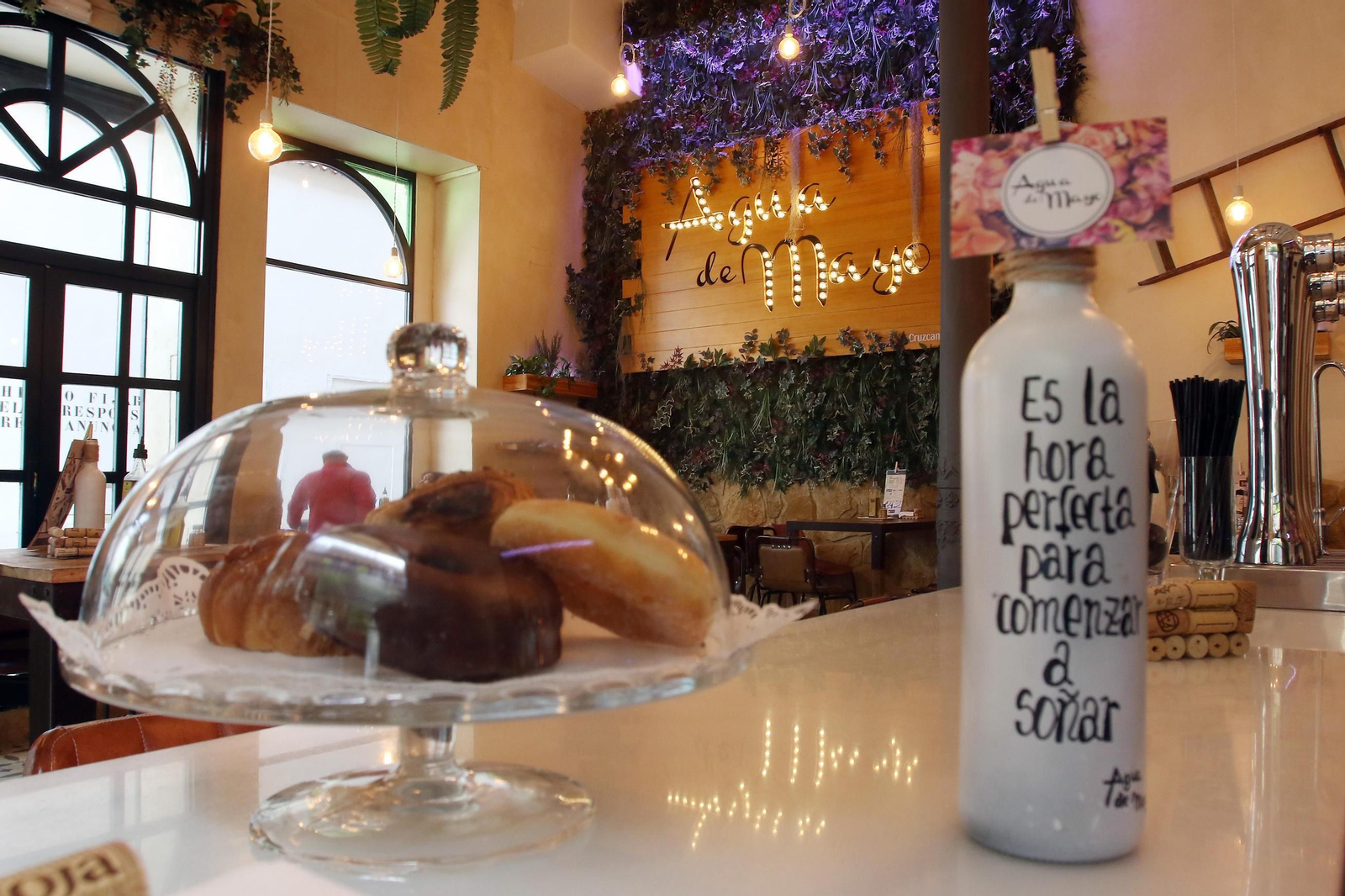 Detalle de una cascada en una de las cristaleras de la Taberna Agua de Mayo.