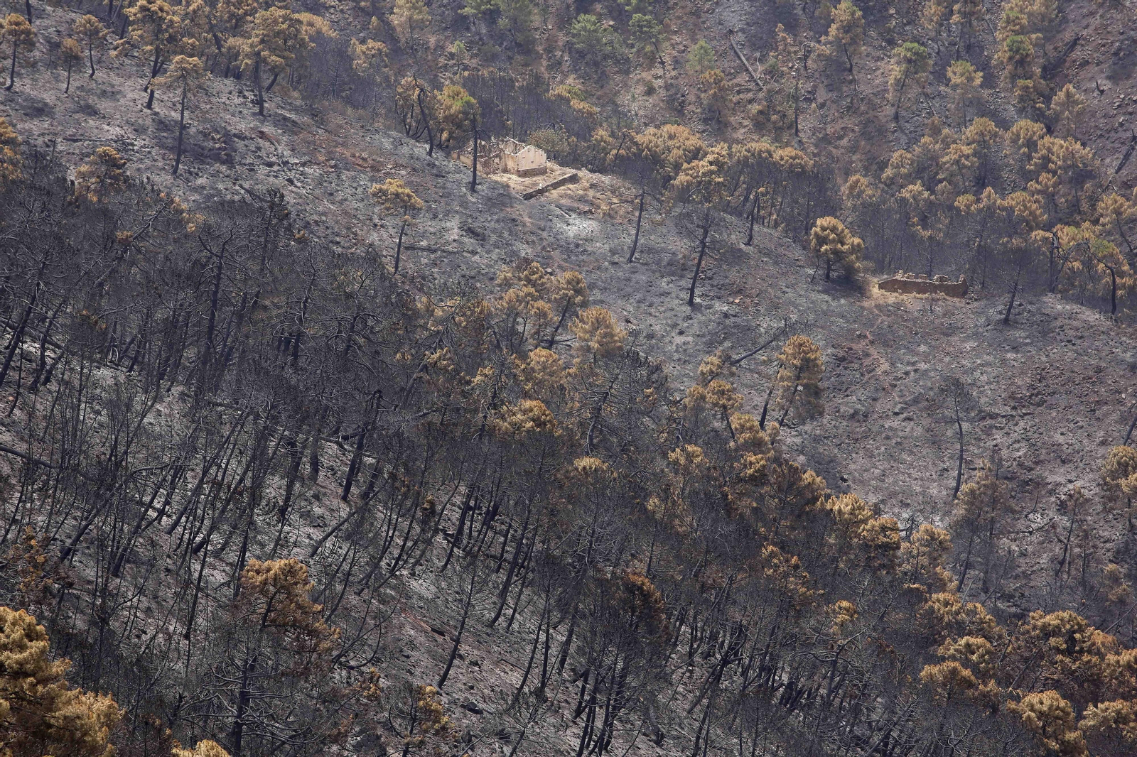 El incendio de Sierra Bermeja una semana después, en fotos