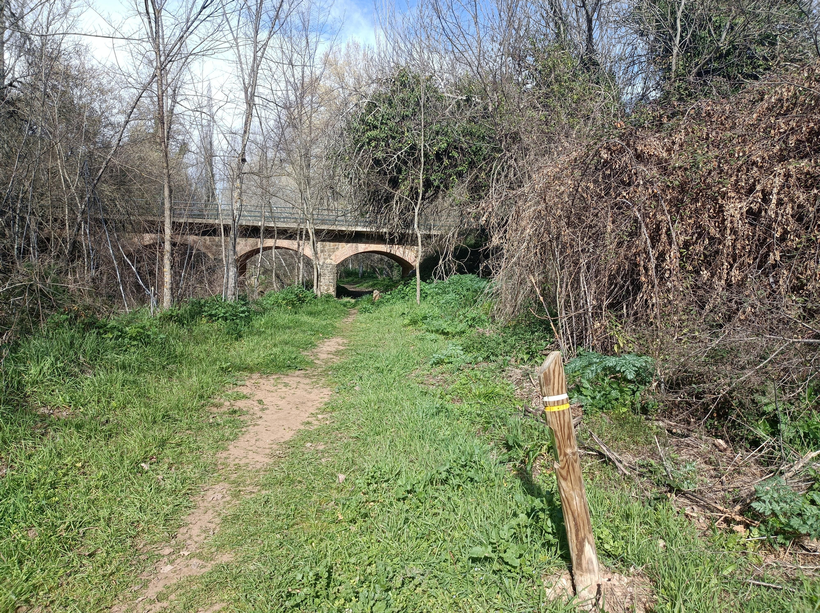 Las fotos de la circular de los Molinos del Ciudadeja